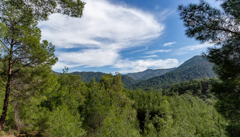 Troodos Mountains villages and forested slopes